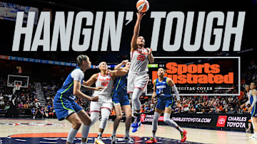 模板幻灯片演示